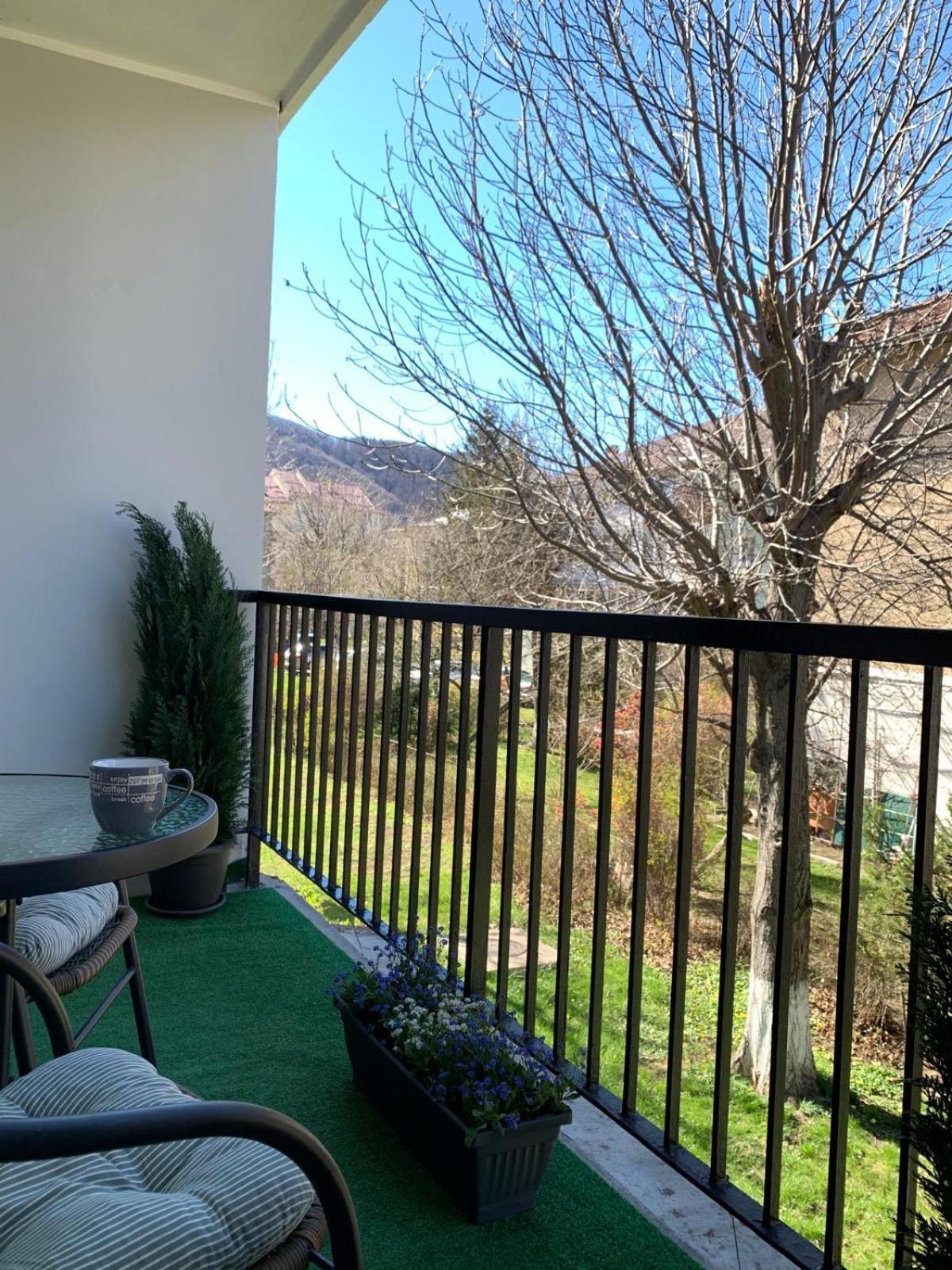 Rose Apartment Piatra Neamţ Eksteriør bilde
